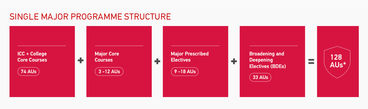 BBus Single Major - Programme Structure