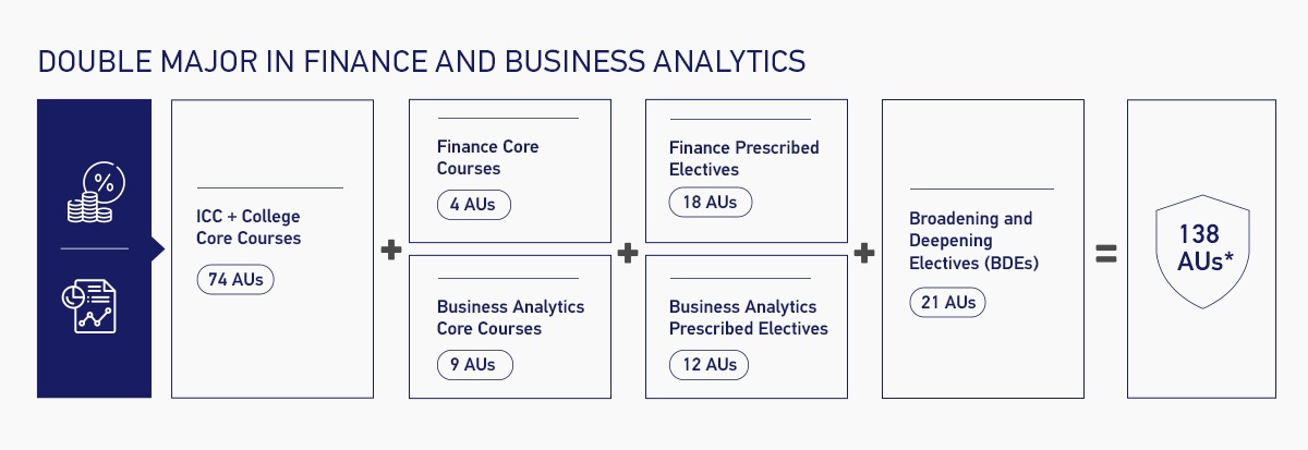 Double Major in Finance and Business Analytics Overview