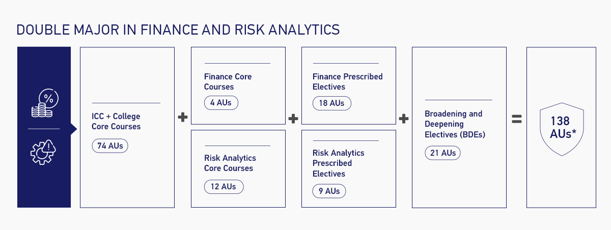Double Major in Finance and Risk Analytics Overview