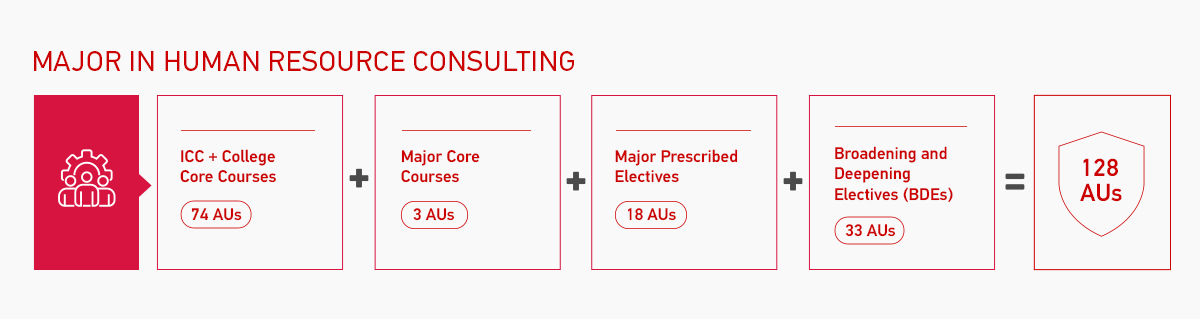 Major in Human Resource Consulting Overview