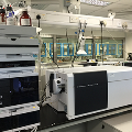Triple Quad Liquid Chromatography Mass Spectrometer (LC-MS)