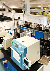 Ecmcfac_mobile(320x458)