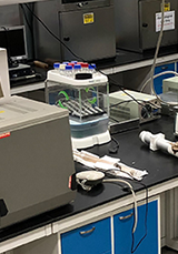 R3Cfac_mobile(320x458)