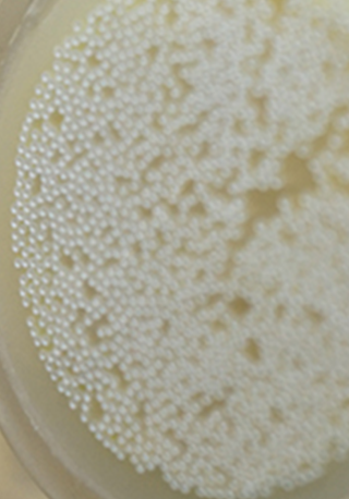 SMTCtech_mobile(320x458)