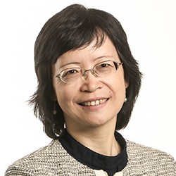 Prof Wang Rong, Director (SMTC)