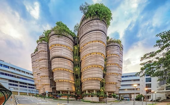 NTU Hive