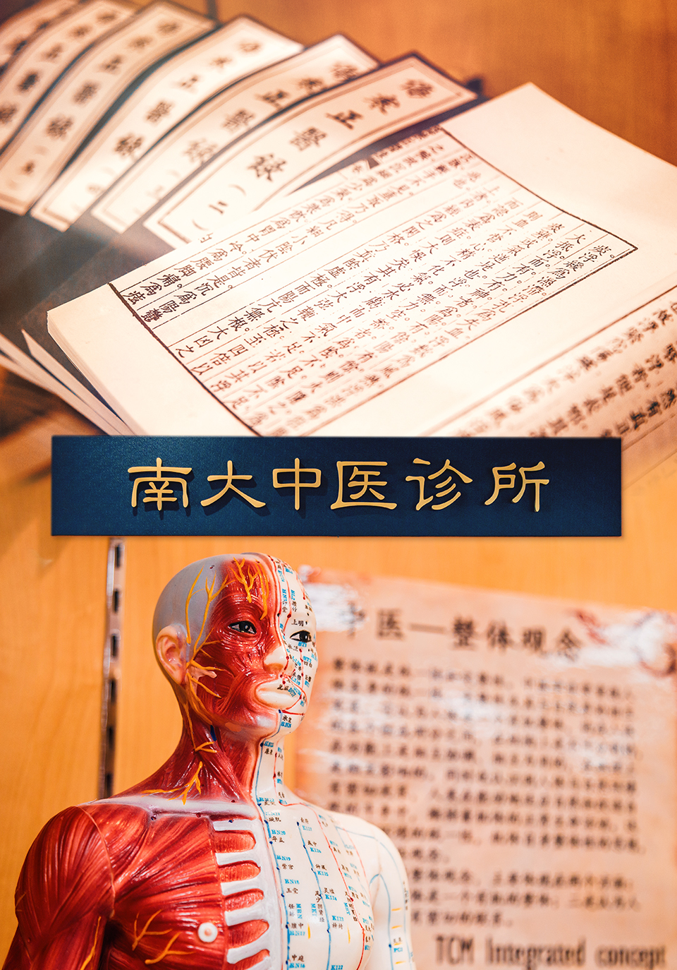 NTU Chinese Medicine NTU Singapore