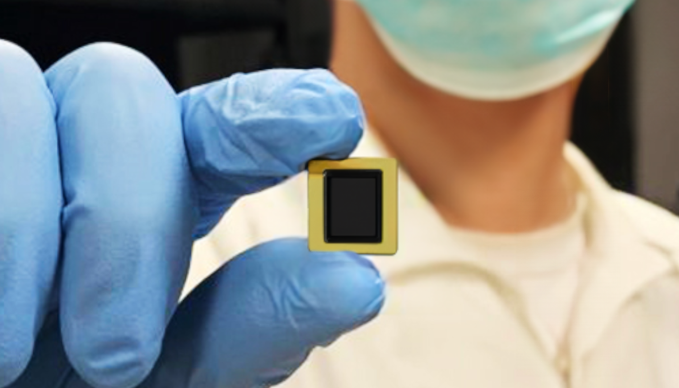 IDMxS-translation cluster