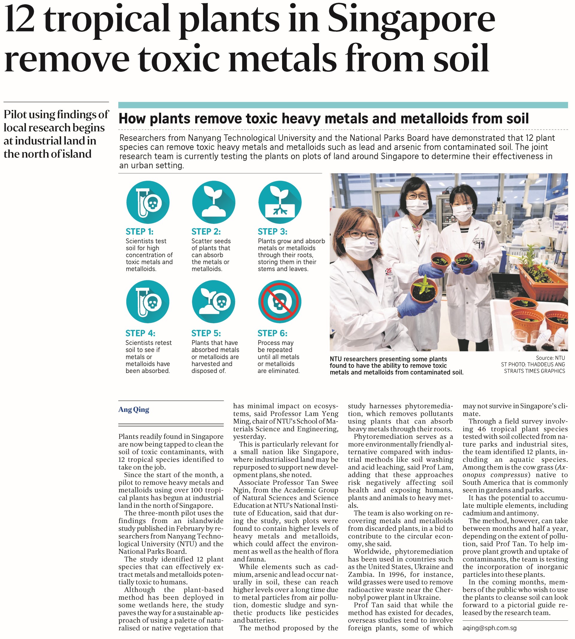 12 tropical plants in Singapore remove toxic metals from soil