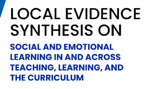 Thumbnail_CAE_LES Vol 11