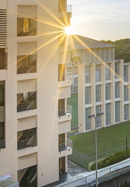 Ray of Sunlight on NIE Outdoor Tennis Courts (mobile)