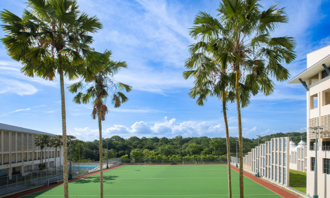 NIE sports field with palm trees