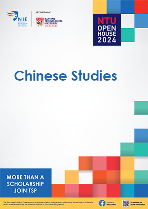 Chinese Studies_cover