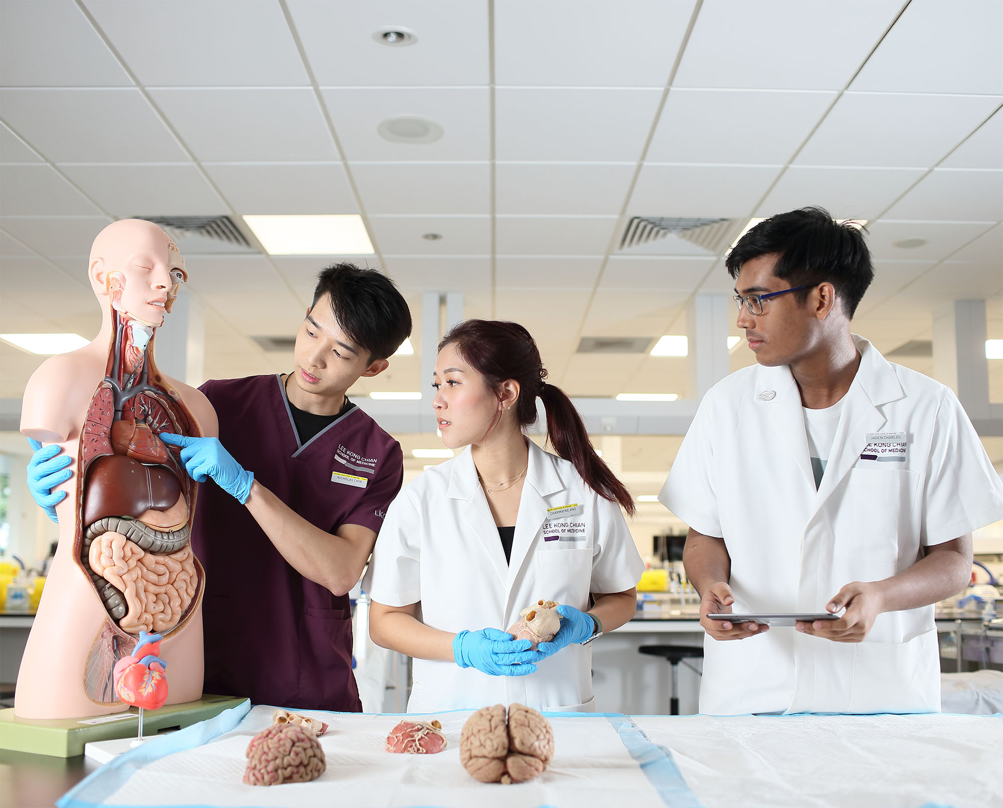NTU Med 037 Lee Kong Chian School of Medicine (LKCMedicine)