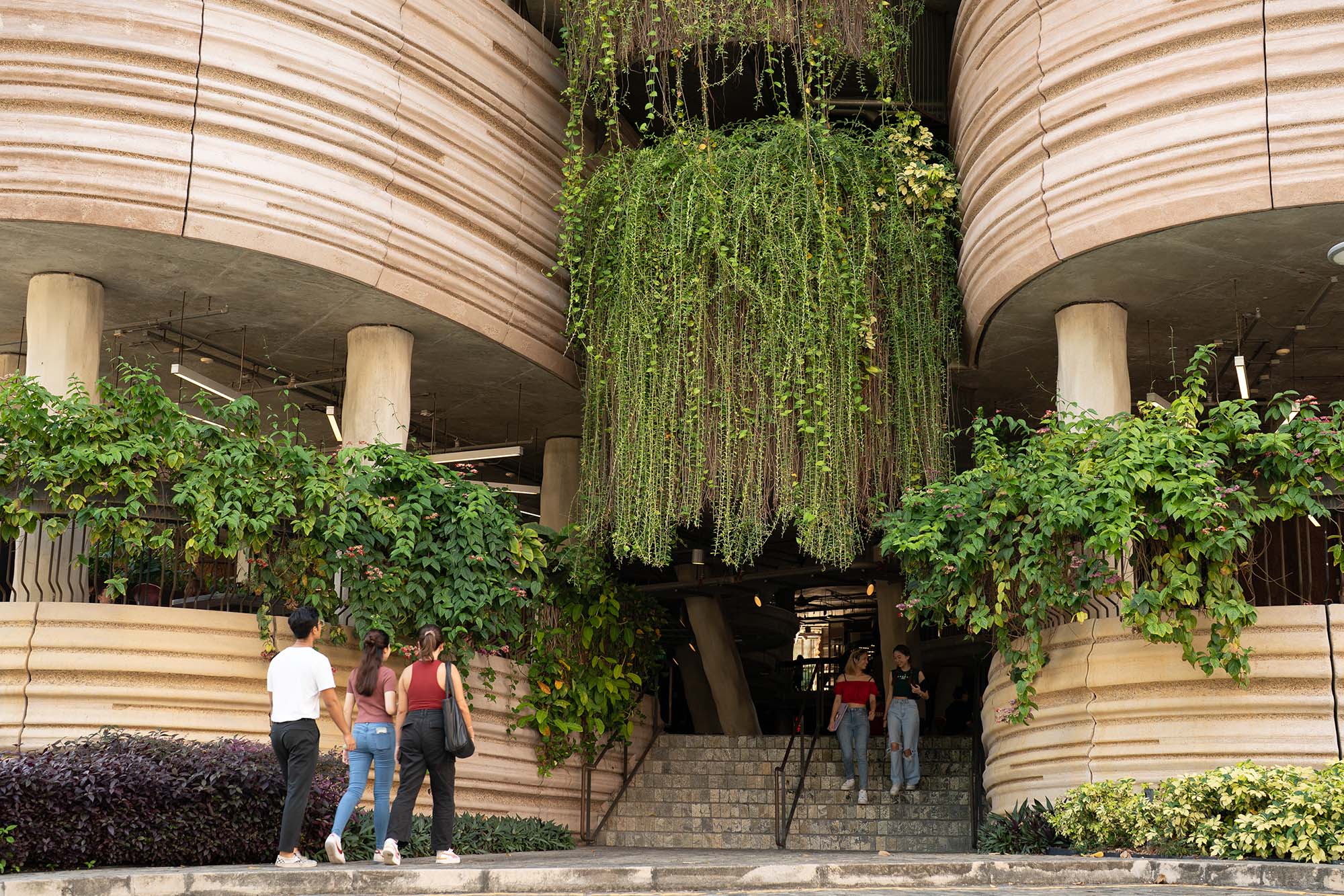 Students at The Hive