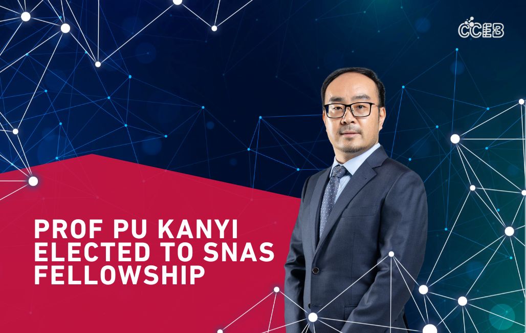 Prof Pu Kanyi Prof Pu Kanyi Elected to SNAS Fellowship