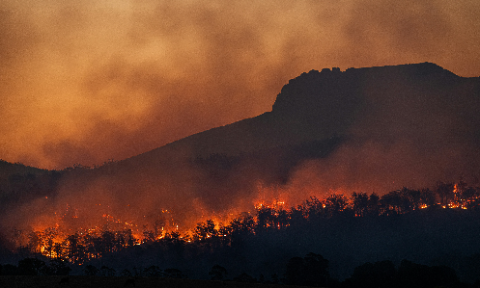 A forest wildfire spreads across a mountainside, with flames illuminating the dense smoke rising into the sky.
