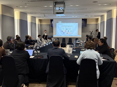 Steve presenting at the WHO-Technical Working Group on Air Quality and Health (TWG-AQH) meeting