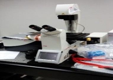 Confocal Scan_jpg