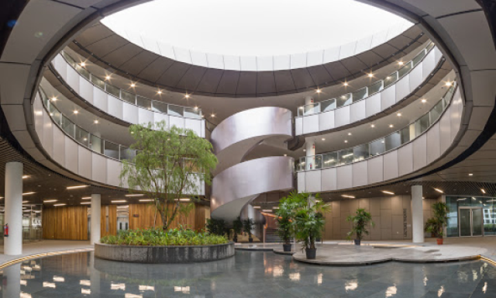 The Arc