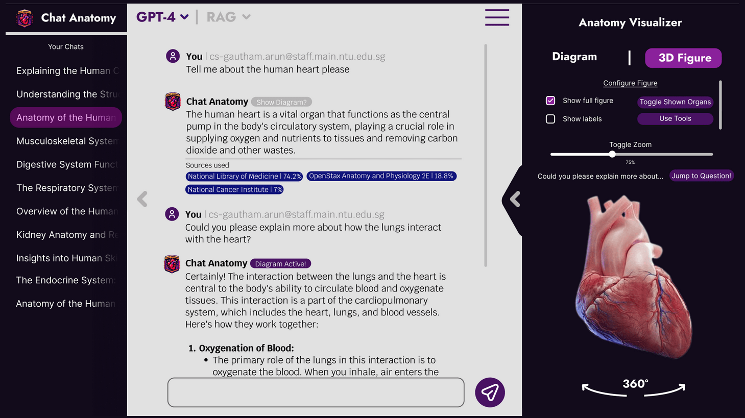 chat anatomy