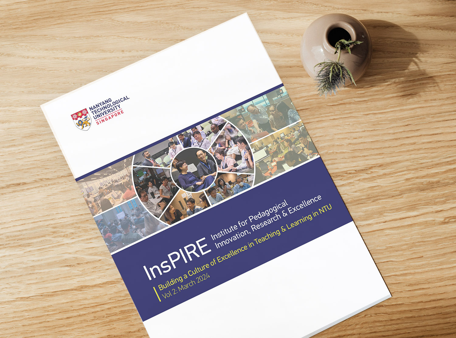 InsPIRE report