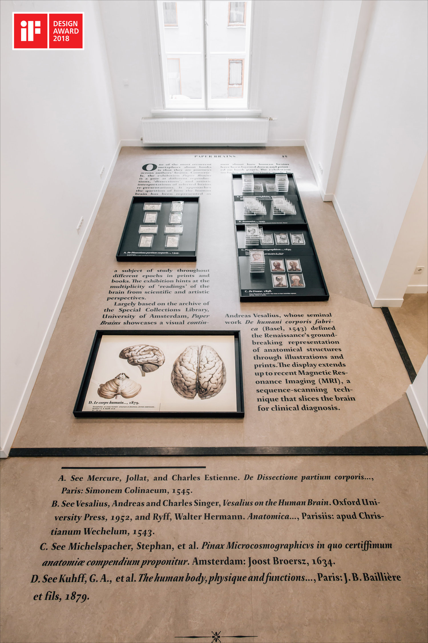 2018-if-design-paper-brains-poster.jpg