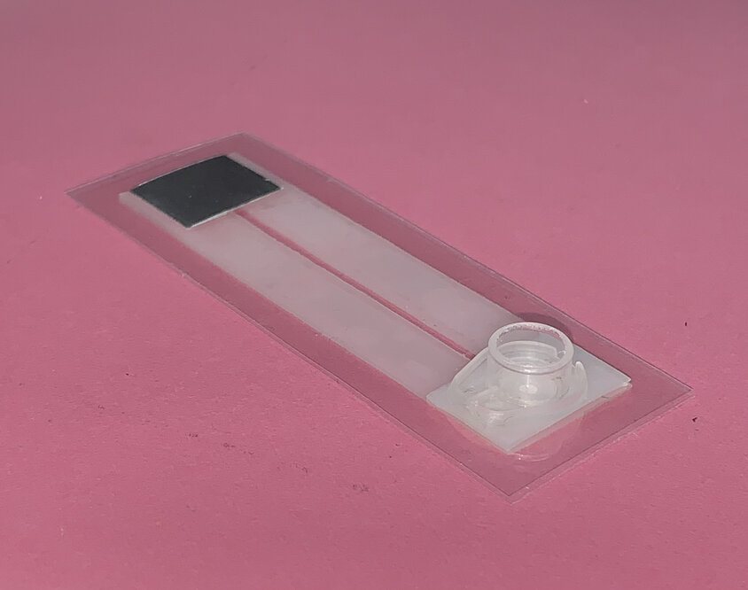 Malaria chip