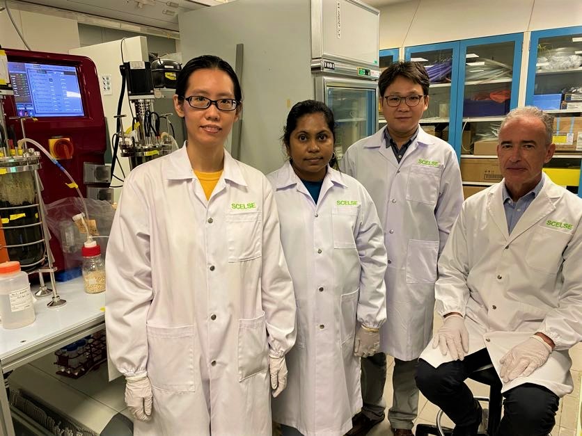 SCELSE Research Assistant Ms Hoon Hui Yi, SCELSE Research Associate Ms Sara Swa Thi, Research Fellow at SCELSE’s Integrative Analysis Unit Dr Liu Xianghui, and Prof Stefan Wuertz