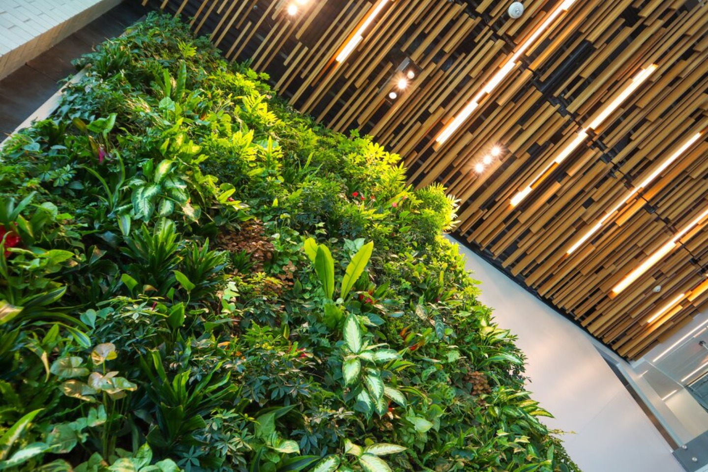 Greenery