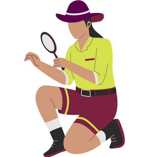 Explorer