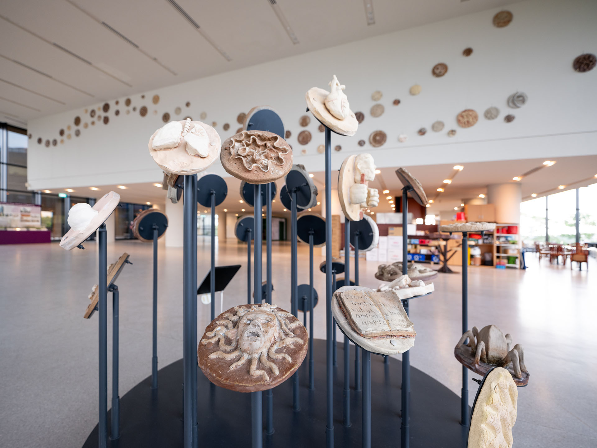 Installation view of Apollo's Dream
