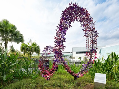 Pink and purple sculpture in the shape of an infinity symbol