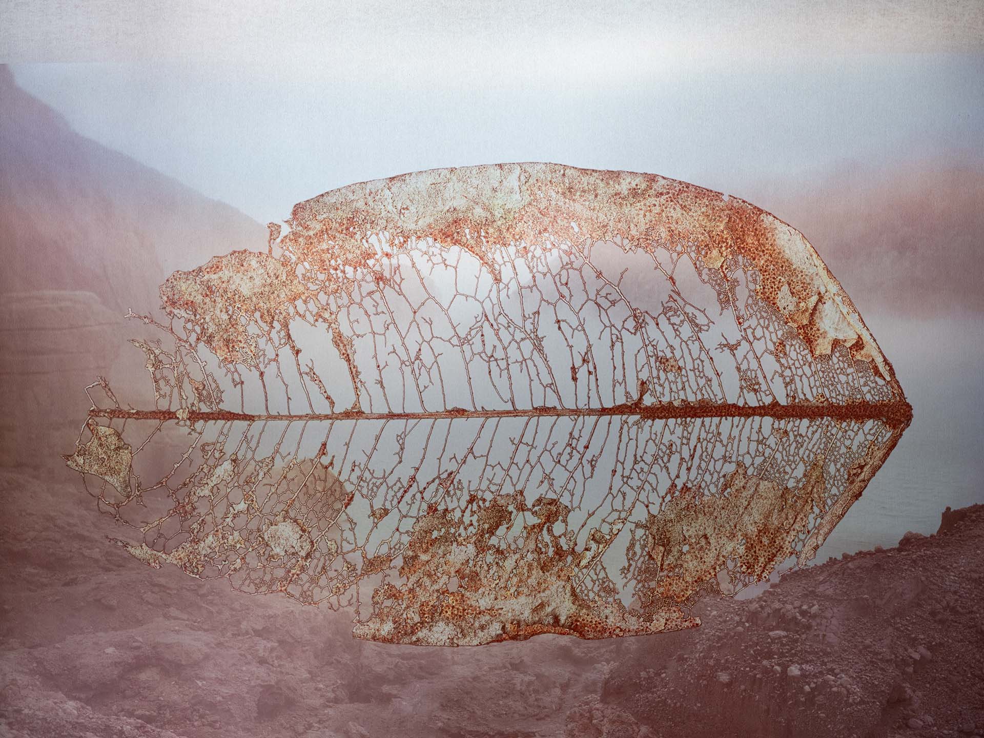Closeup of center portion of Volcanic Leaf suspended
