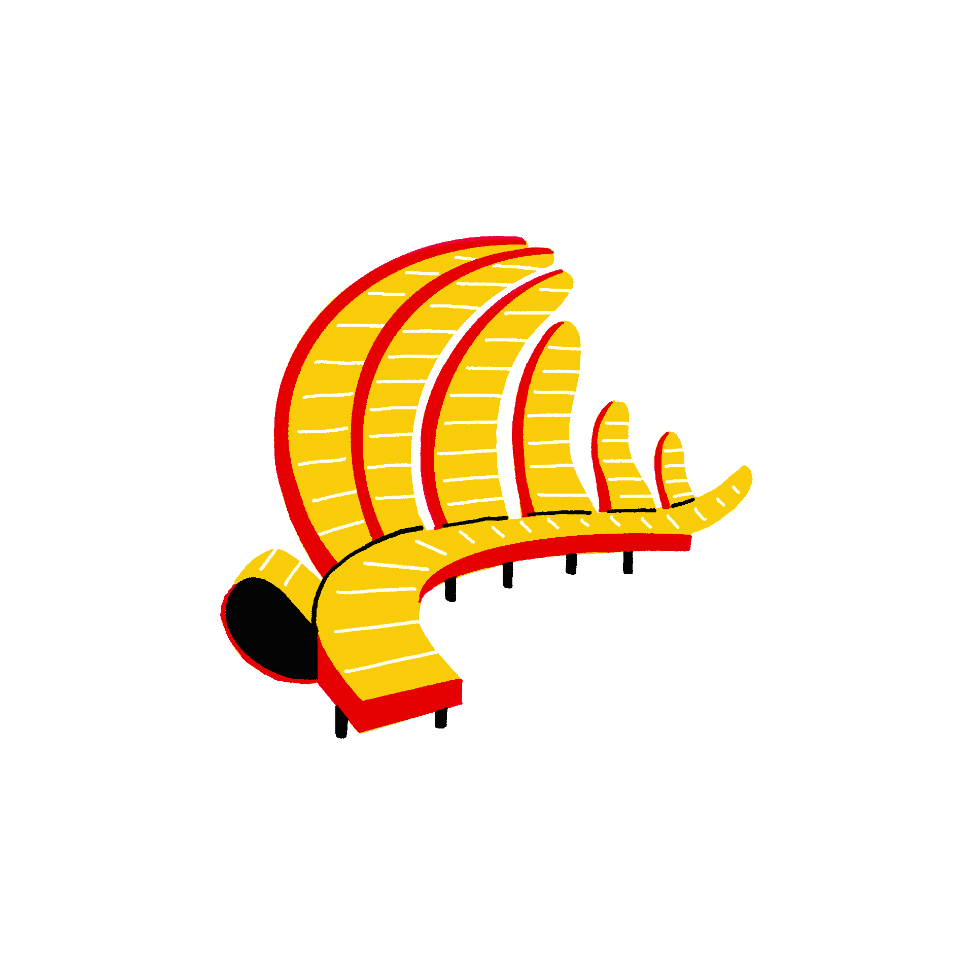 Fern