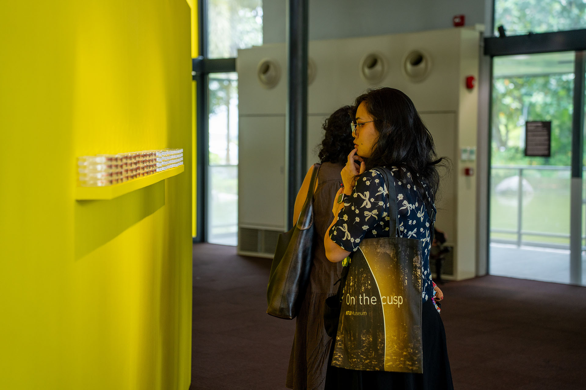 Woman looking at row of petri dishes against a yellow wall