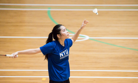 Badminton 2025
