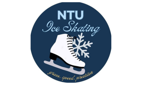 Ice Skating 2025