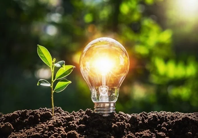 sustainability5f70b7d47fc54241a800925bea619f34