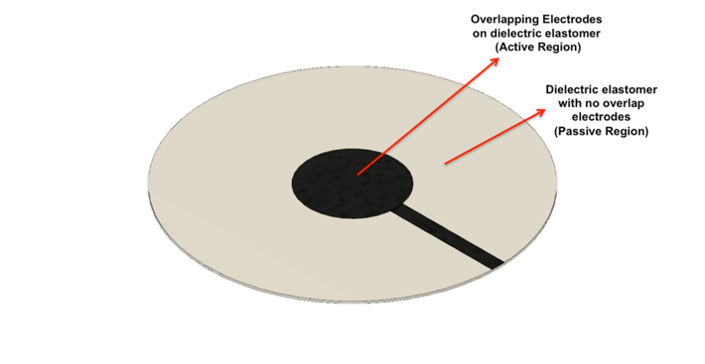 Figure 1: Buckling Dielectric Elastomer Actuator.