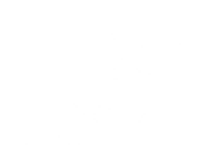 funding icon