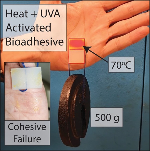 Figure 1: Cosmetic adhesives are tough and strong, and yet can be easily removed with no skin damage.