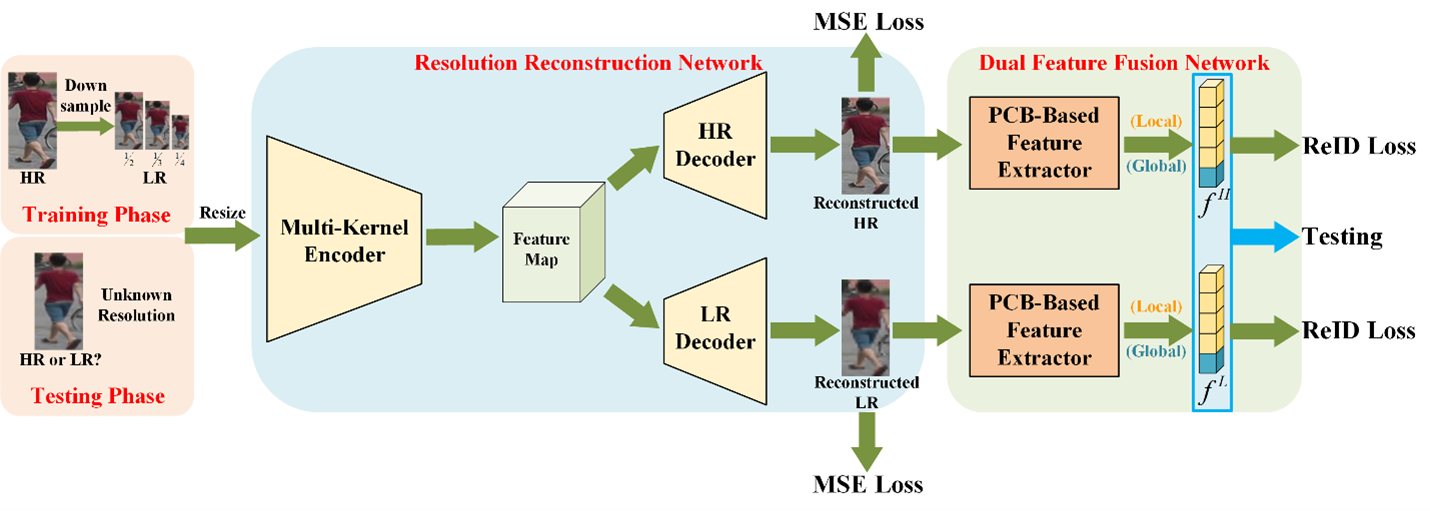 Figure 1: The architecture of the proposed multi-resolution representations joint learning (MRJL)