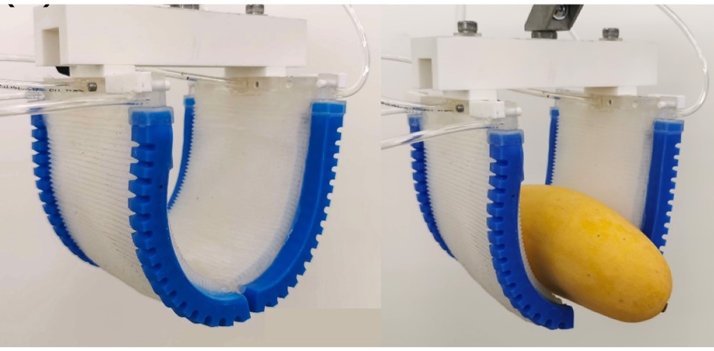 Figure 1: Robotic gripper for fresh fruit picking.