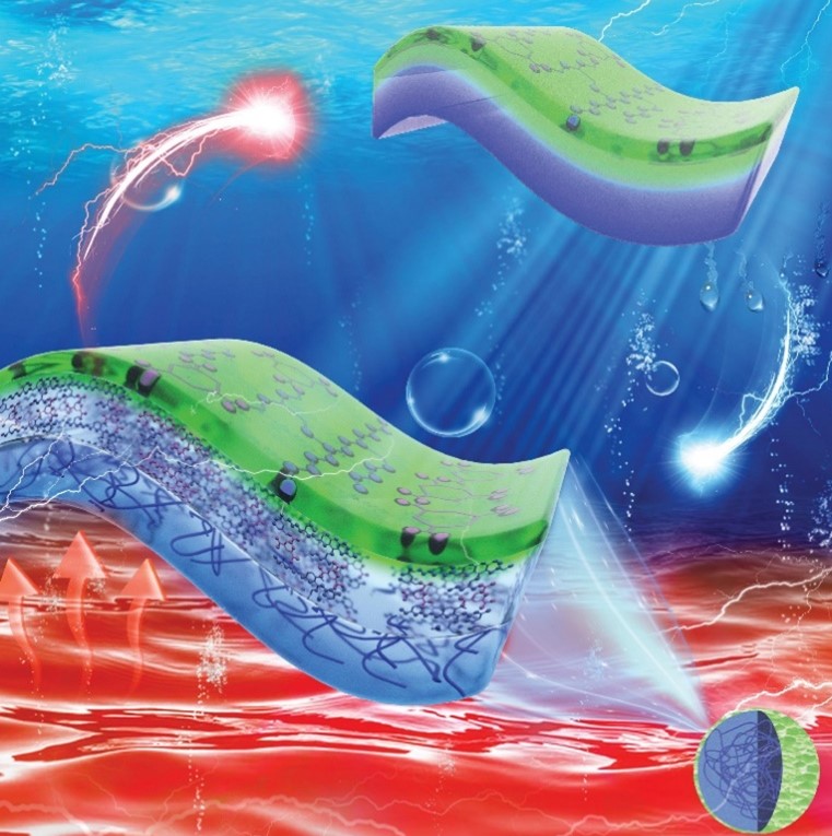 Figure 1: Hydrogel with a robust surface membrane layer which remain strongly adhered to surface during water uptake at room temperature and water release above 40°C