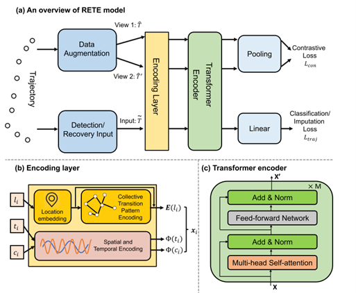 Figure 2: Model architecture at each stage.