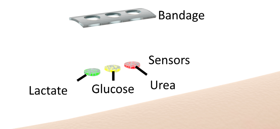 Figure 1. Working principle of the modified CLC microdroplets for multiplexed sensing. 