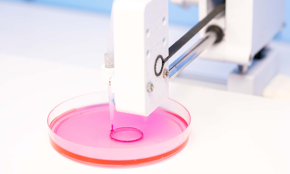 Hydrogel Composite