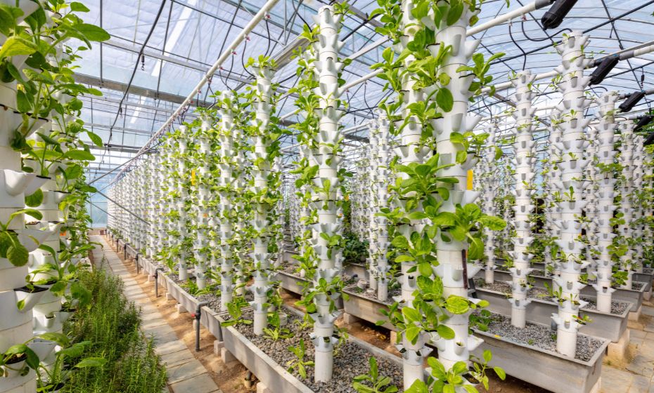 Photonic farming tech
