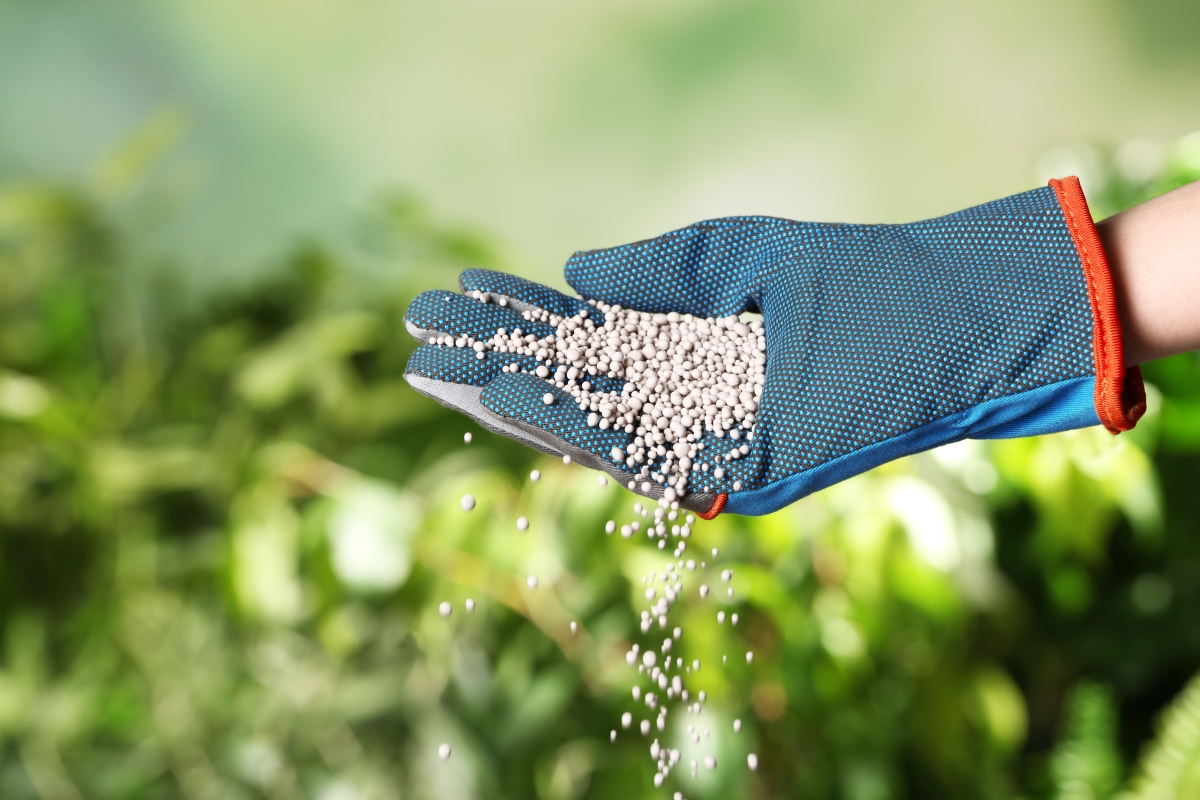 woman-in-glove-pouring-fertilizer-on-blurred-backg-2026-03-09-19-15-36-utc